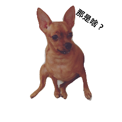 [LINEスタンプ] My love Dog _