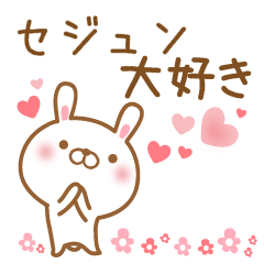 [LINEスタンプ] 大好きなセジュンに送るスタンプ