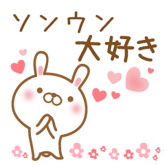 [LINEスタンプ] 大好きなソンウンに送るスタンプ