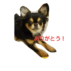 [LINEスタンプ] monapy