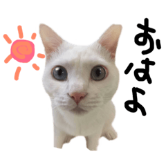 [LINEスタンプ] 中村のクム