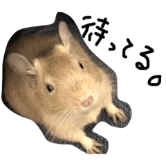 [LINEスタンプ] デグーのすみたん