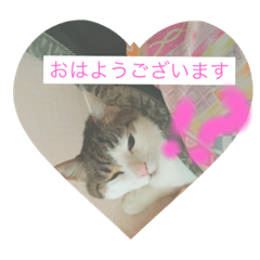 [LINEスタンプ] さくら こ めーぷる