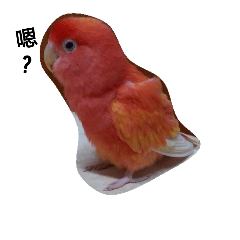 [LINEスタンプ] A Little Red Bird  2.0