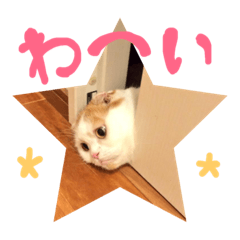 [LINEスタンプ] ねころしめむ