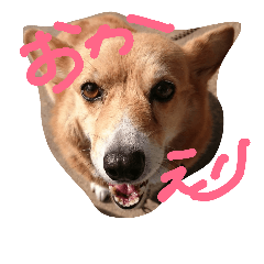 [LINEスタンプ] ユズタンプ