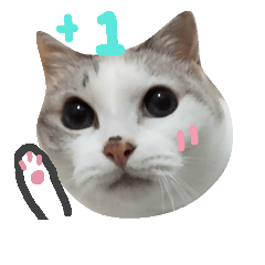 [LINEスタンプ] Central parting cat 's life