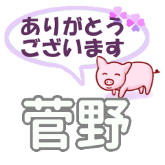 [LINEスタンプ] 菅野「かんの」さん専用。日常会話