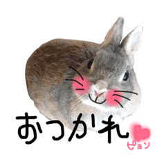 [LINEスタンプ] usagi no myuchan