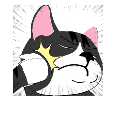 [LINEスタンプ] stupid cat - Andy 1