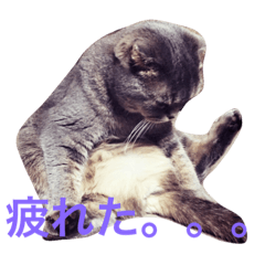 [LINEスタンプ] ぱんのすけ001