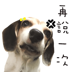 [LINEスタンプ] Beagle Mouの画像（メイン）