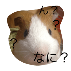 [LINEスタンプ] 愛すべき生き物たち3