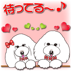 [LINEスタンプ] ふわもこプードルソフィア＆シャーロット#1