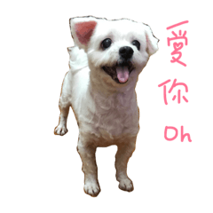 [LINEスタンプ] Kui Cheng