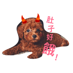 [LINEスタンプ] poddlepuppy