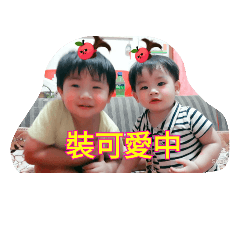 [LINEスタンプ] Shuangbao's daily greetingsの画像（メイン）