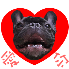 [LINEスタンプ] French Bulldog Funny daily 2