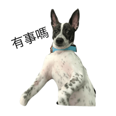 [LINEスタンプ] doggy steam pork bun