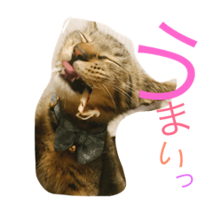 [LINEスタンプ] にこる