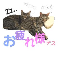 [LINEスタンプ] ゆーじ＆ちくわのスタンプ