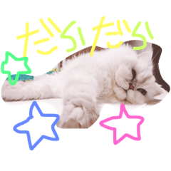 [LINEスタンプ] 今日のえだまめさん