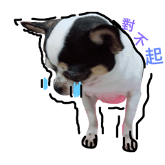 [LINEスタンプ] Chihuahua cow