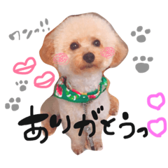 [LINEスタンプ] あぽろくん