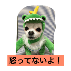 [LINEスタンプ] ぽけ被り