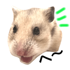 [LINEスタンプ] hamster-sugar-oimo