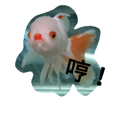 [LINEスタンプ] Naughty goldfish