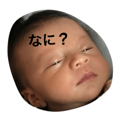 [LINEスタンプ] 表情豊かな日常！