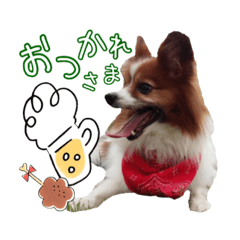 [LINEスタンプ] パピヨンのしおん