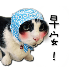 [LINEスタンプ] siao miao 2