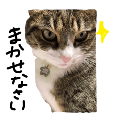 [LINEスタンプ] 和菓子猫3