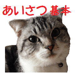 [LINEスタンプ] がんも あいさつ 基本