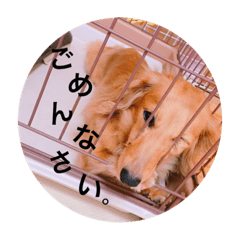 [LINEスタンプ] ねね＆ぴーす