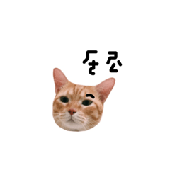 [LINEスタンプ] good good use