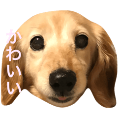 [LINEスタンプ] Kurin's Stamp