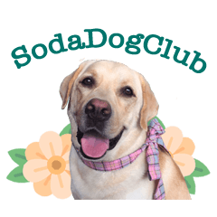 [LINEスタンプ] Sodadogclub