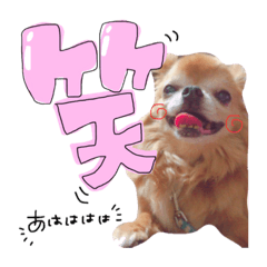 [LINEスタンプ] 次元