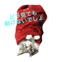 [LINEスタンプ] 動きたくない猫