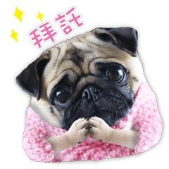 [LINEスタンプ] PUG's world of fantasy