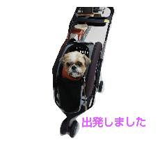 [LINEスタンプ] シーズー犬の挨拶のスタンプ2