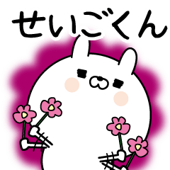 [LINEスタンプ] ☆せいごくん☆に送る名前なまえスタンプ