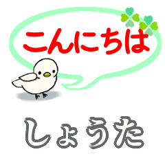 [LINEスタンプ] しょうたさん専用。毎日の会話スタンプ