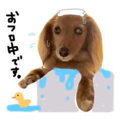 [LINEスタンプ] 優しいダックスフンド バニたん