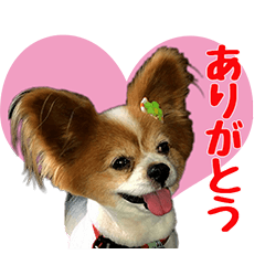 [LINEスタンプ] ほのぼの❤ルーキー