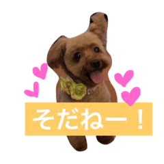 [LINEスタンプ] はなちゃんLIFE