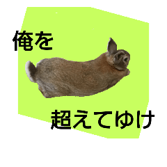 [LINEスタンプ] 兎々(とと)さん 3